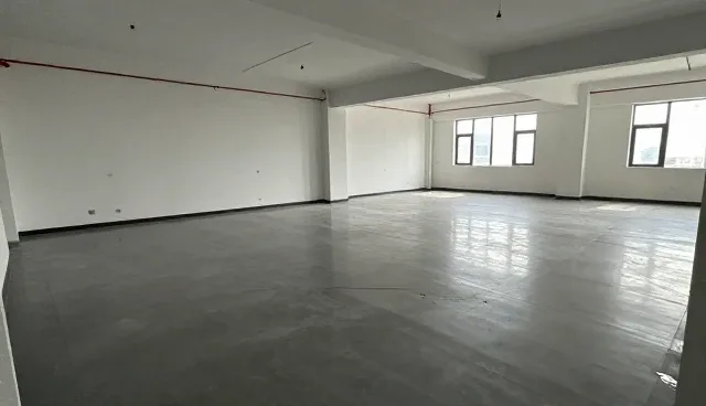 提升执行效率的关键策略与日常维护建议